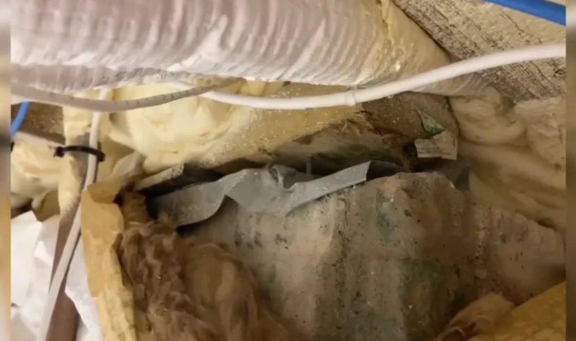 Checking for hidden moisture in an attic