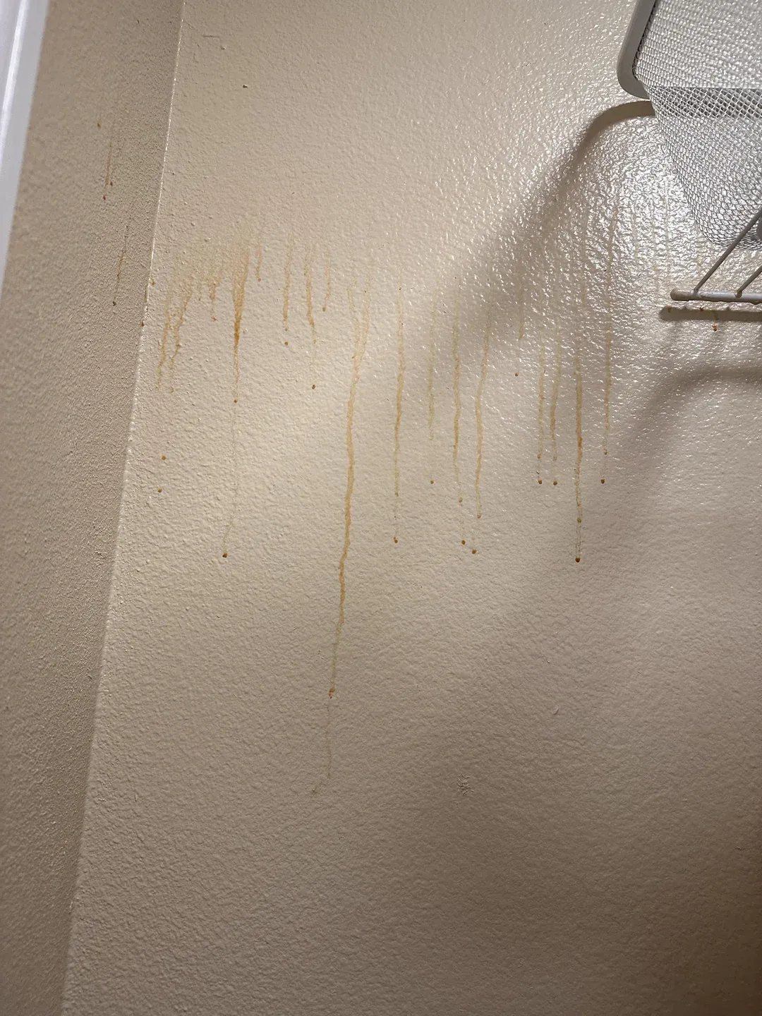 Water stain on an interior wall from a hidden leak